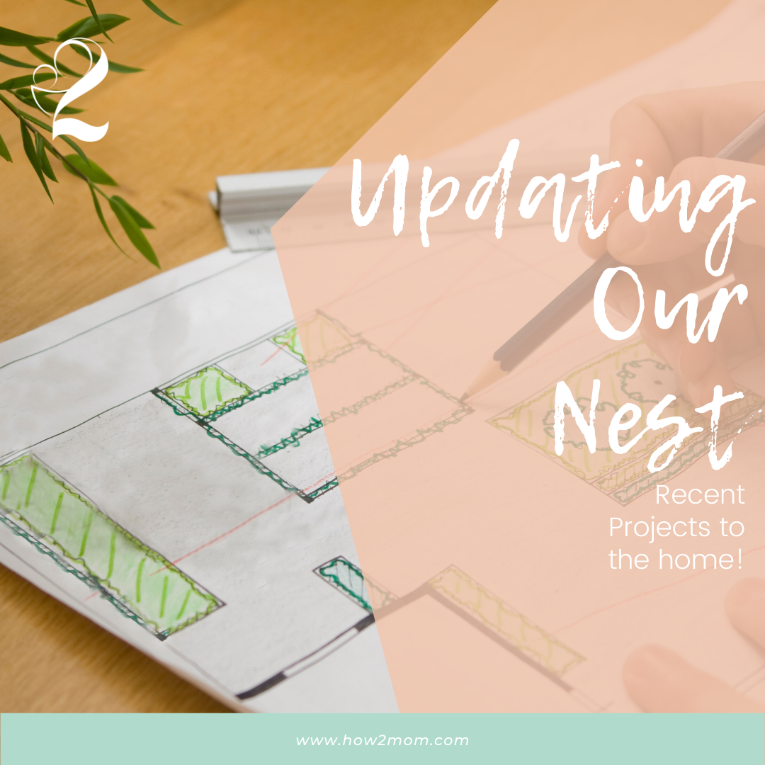 Read more about the article Updating Our Nest
